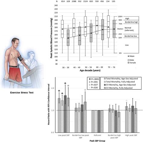 normal blood pressure during exercise test